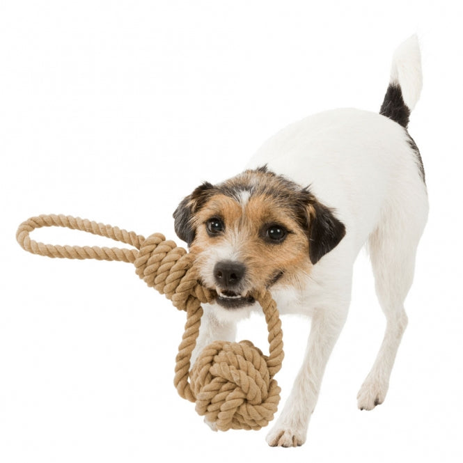 Trixie BE NORDIC Reb med indflettet bold