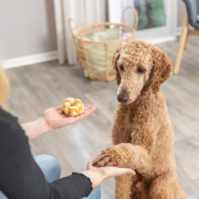 Trixie Denta Fun Twists med Kollagen og Kylling